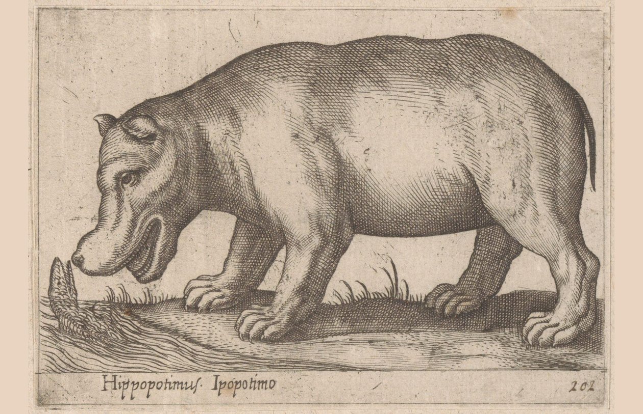 Hippopotimus Hippopotimus/ Ipopotimo (tittel på objekt) Dyr og mytiske skapninger (serietittel) Nova raccolta de li animali piu curiosi del mondo (serietittel) av Antonio Tempesta