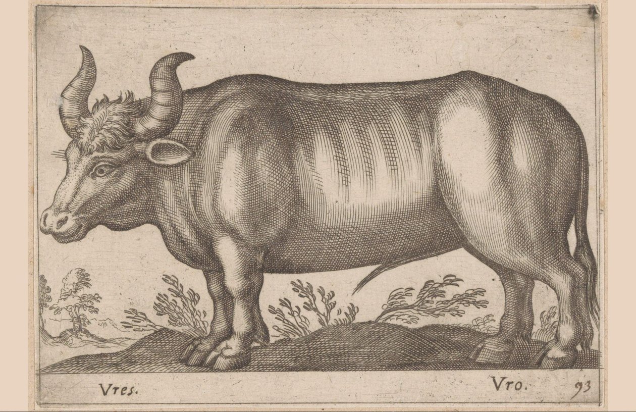 Rund Vres/ Vro (title on object) Dieren en fabelwezens (series title) Nova raccolta de li animali piu curiosi del mondo (series title)   1363004   no       norwegian Successfully Translated  Original: A Deathbed Scene [recto] Translat: A Deathbed Scene [re av Antonio Tempesta