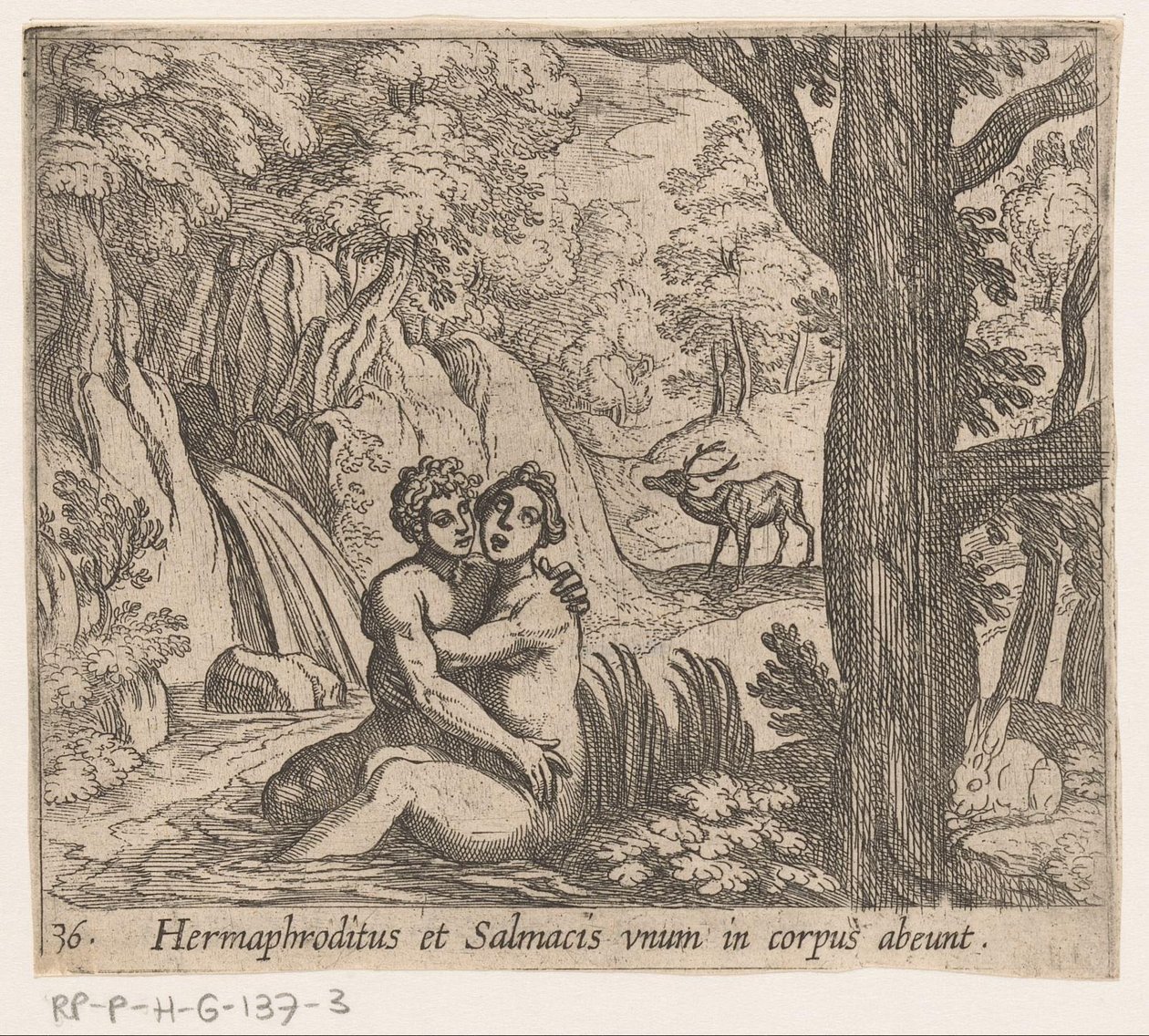 Salmacis og Hermafroditus Hermafroditus og Salmacius forlater som én kropp (tittel på objekt) Metamorfoseon eller transformasjoner (serietittel) Metamorfosen van Ovidius (serietittel) av Antonio Tempesta