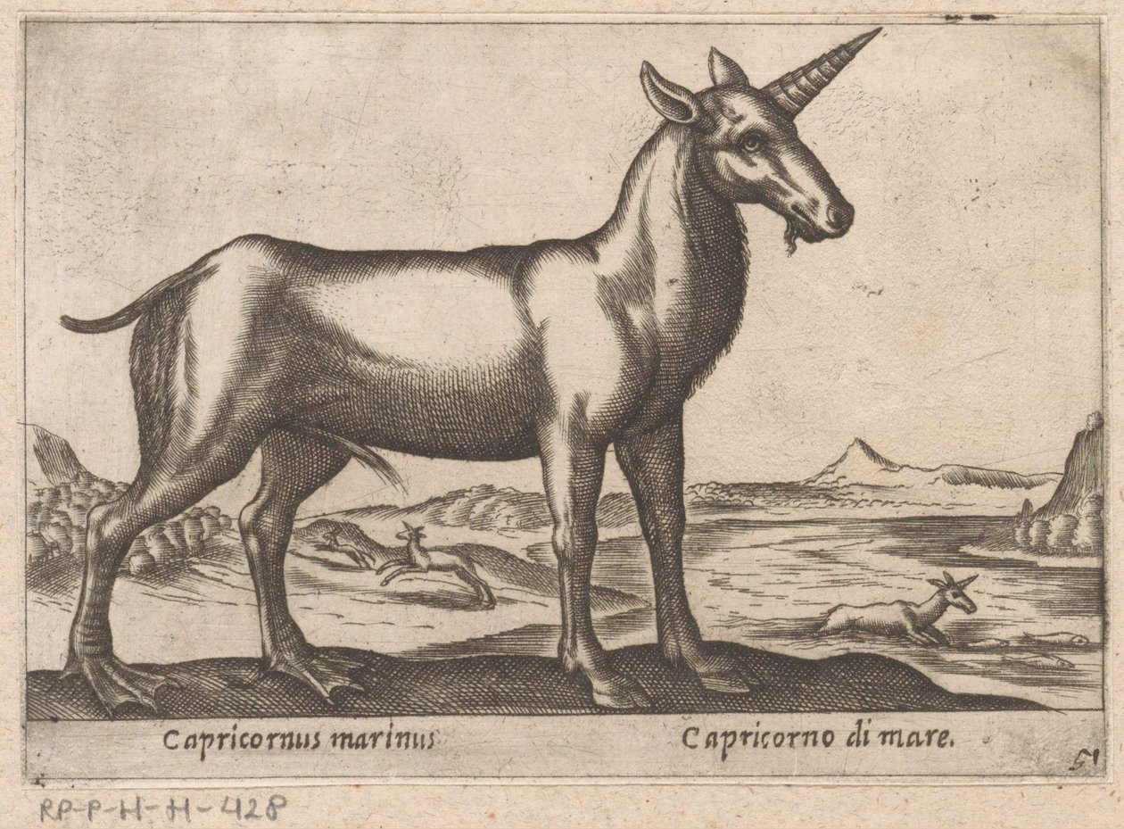 Steinbukken som sjødyr Capricornus marinus/ Capricorno di mare (tittel på objekt) Dyr og mytiske skapninger (serietittel) Nova raccolta de li animali piu curiosi del mondo (serietittel) av Antonio Tempesta