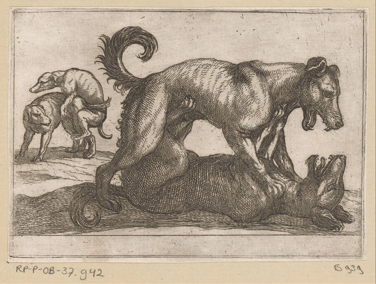 To parrings- og to kamphunder Kampdyr (serietittel) av Antonio Tempesta