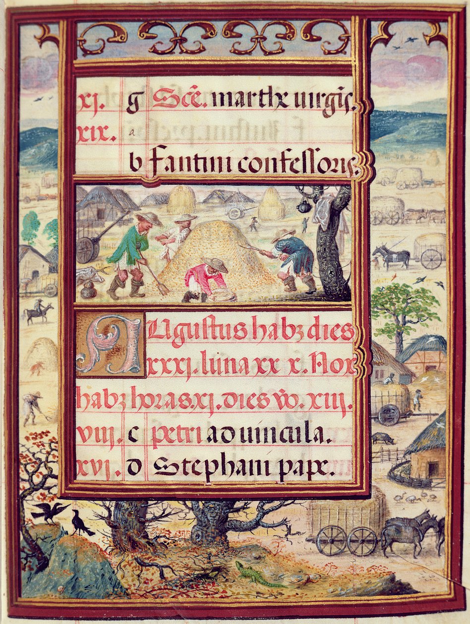 August måned, miniatyrer fra 'The Book of Hours of Dom Manuel', 1517-38 (tempera på vellum) av Antonio de Hollanda