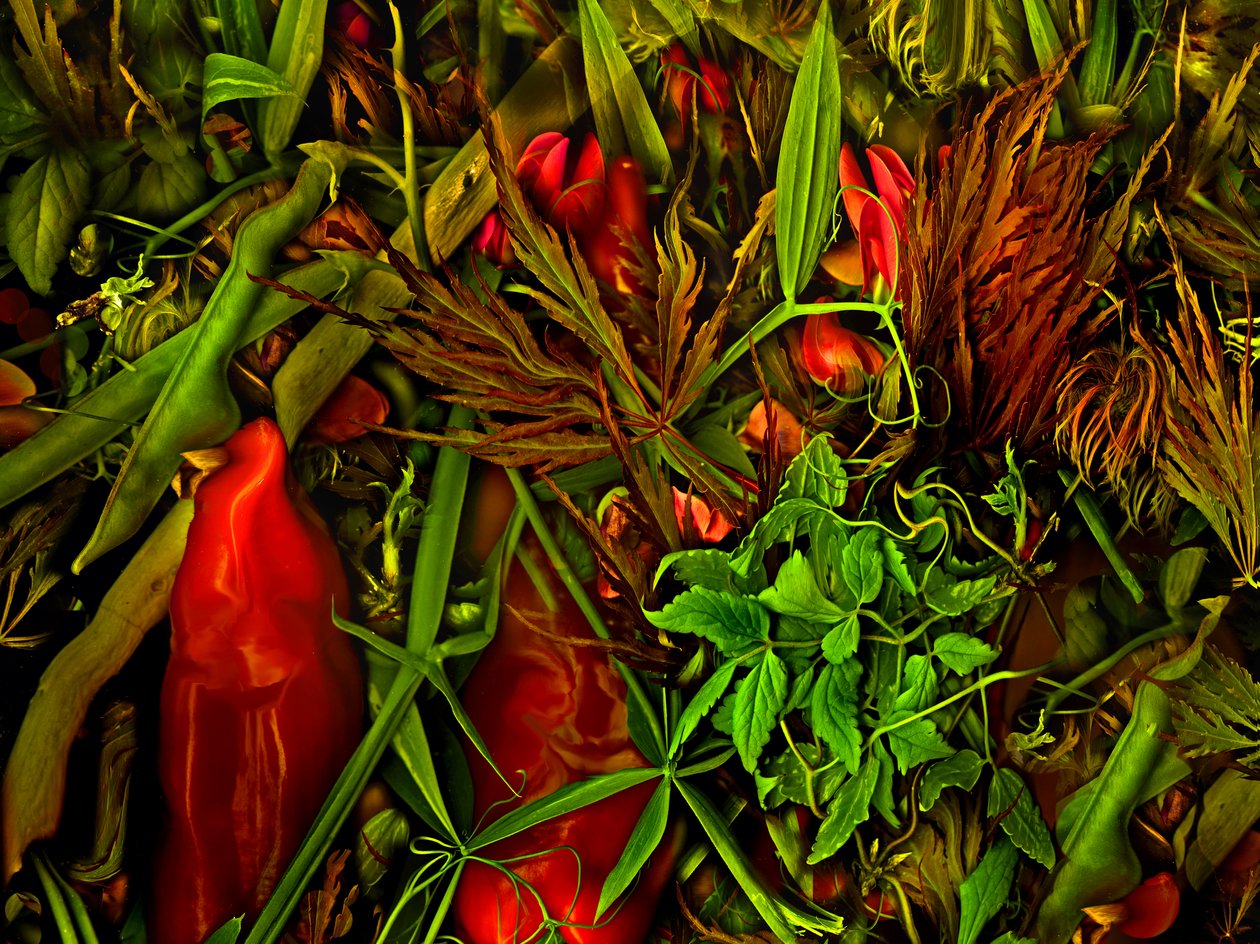  av Antonius Antonius