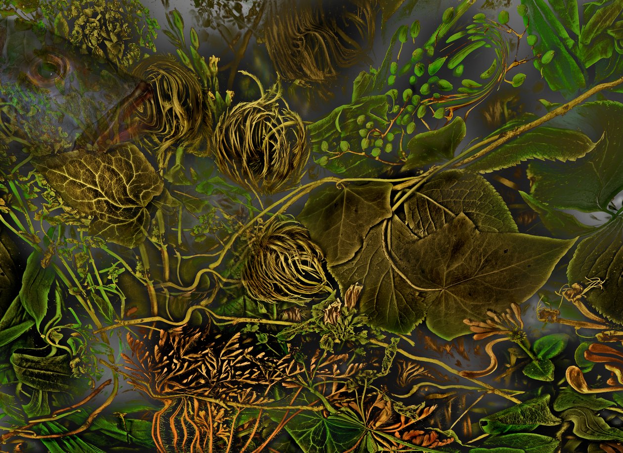  av Antonius Antonius