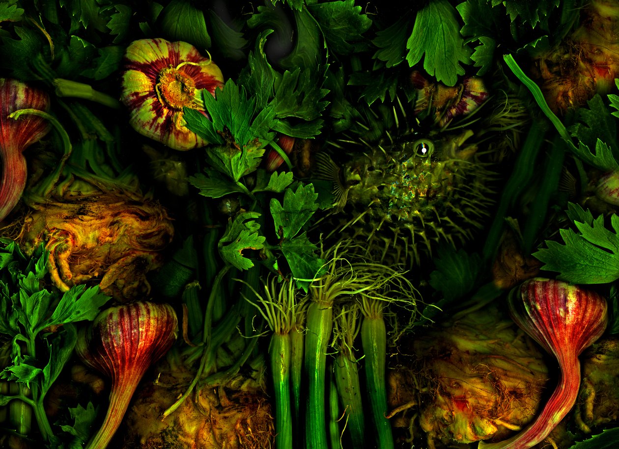  av Antonius Antonius