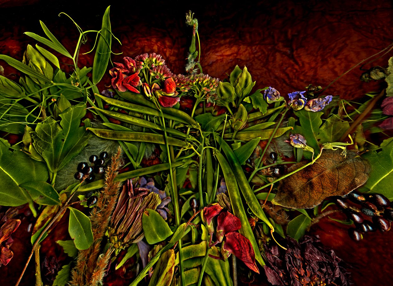  av Antonius Antonius