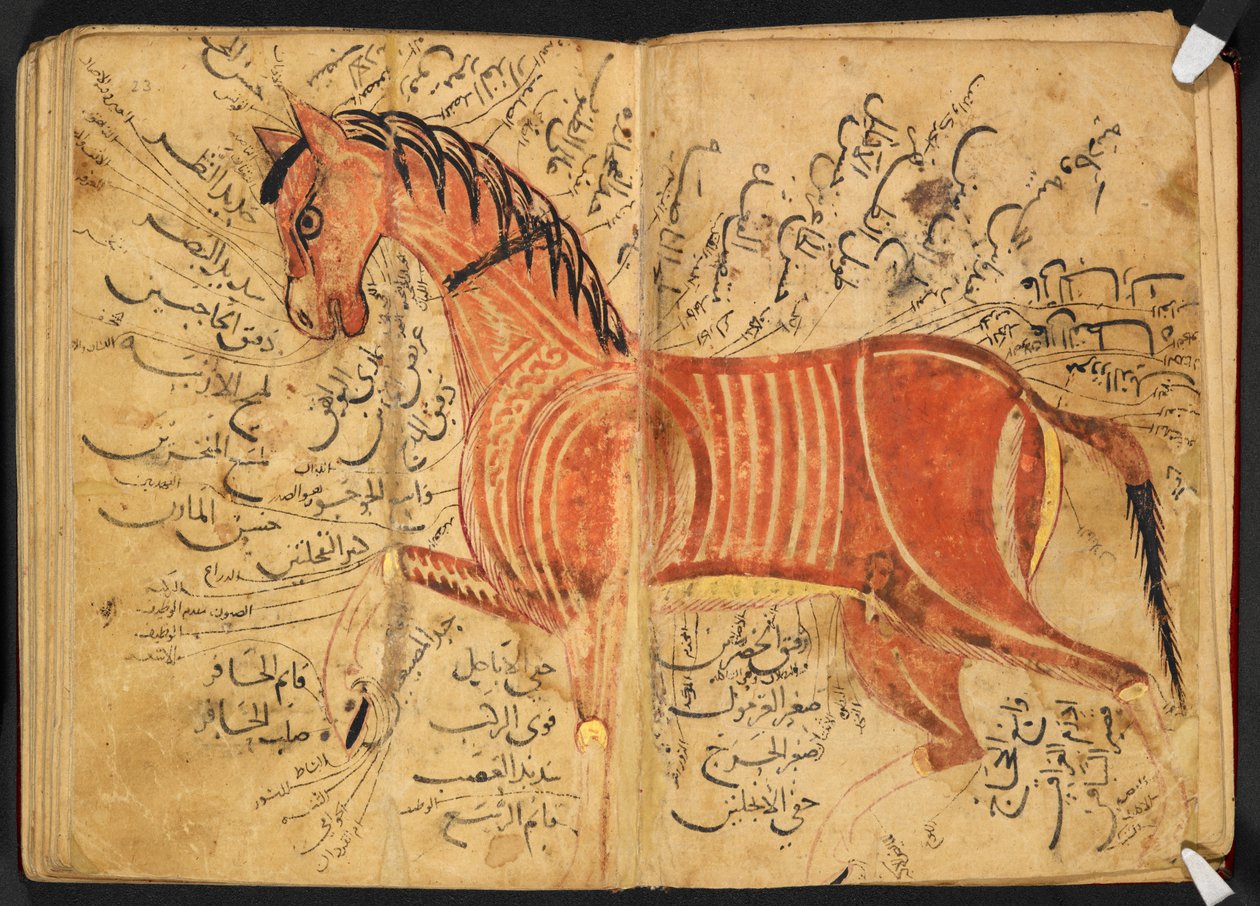 Hest, fra 