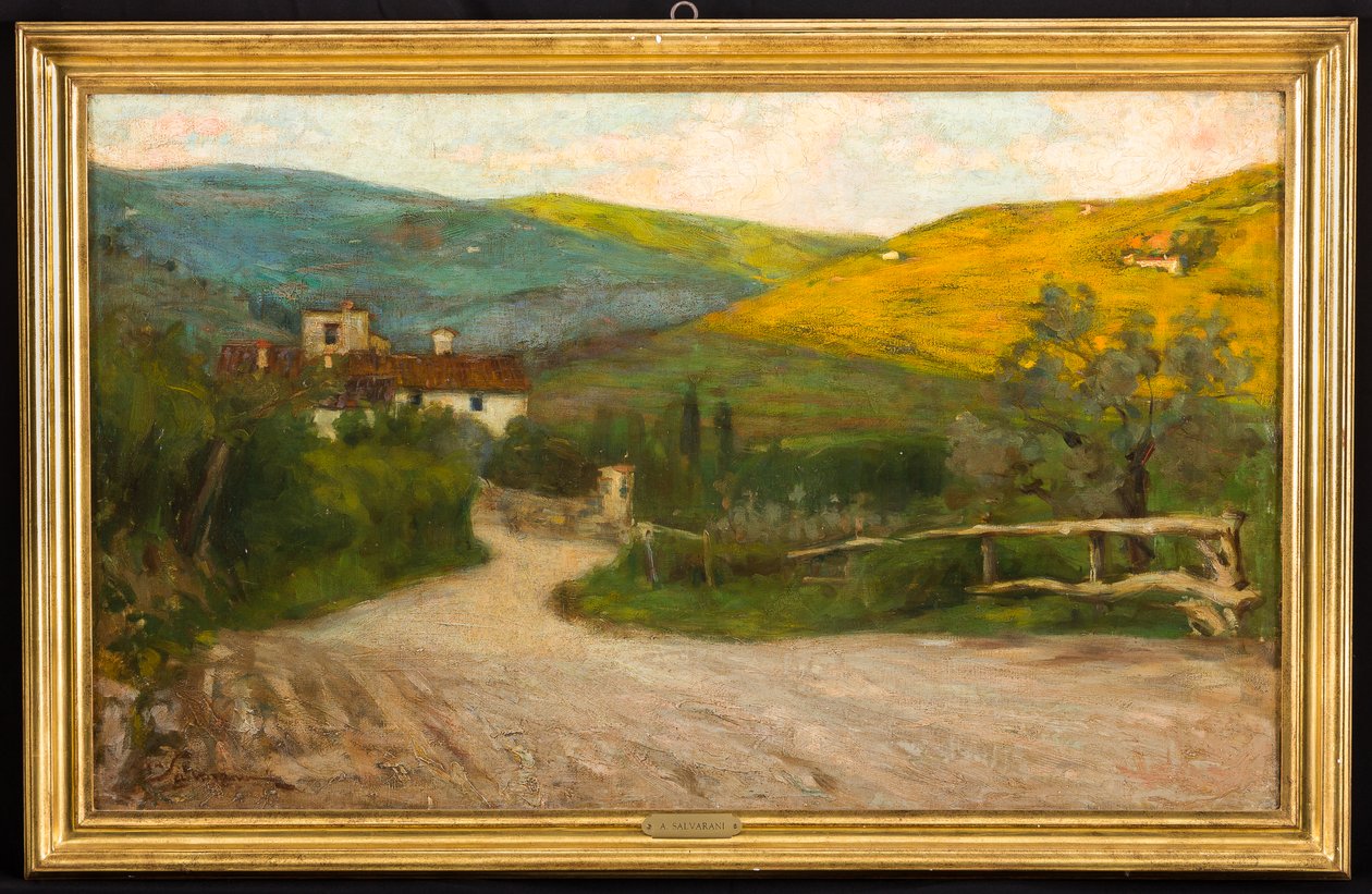  av Arcangelo Salvarani