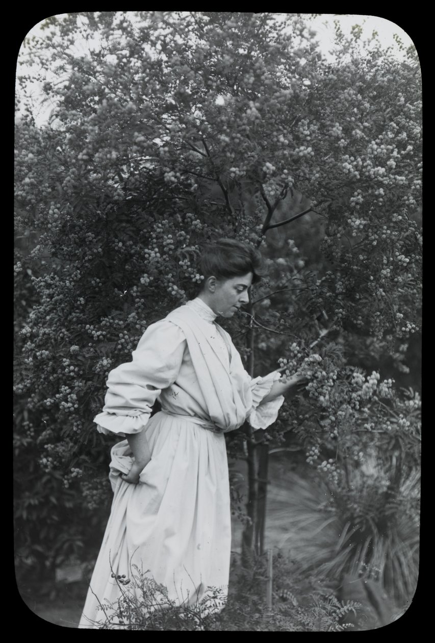Amy Campbell med Wattle av Archibald James Campbell