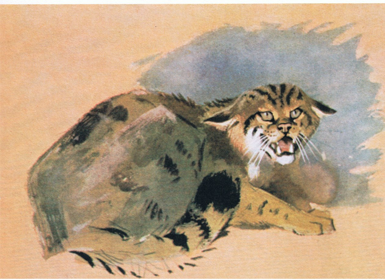 Wildcat, pub. av Book Club Associates, 1972 av Archibald Thorburn