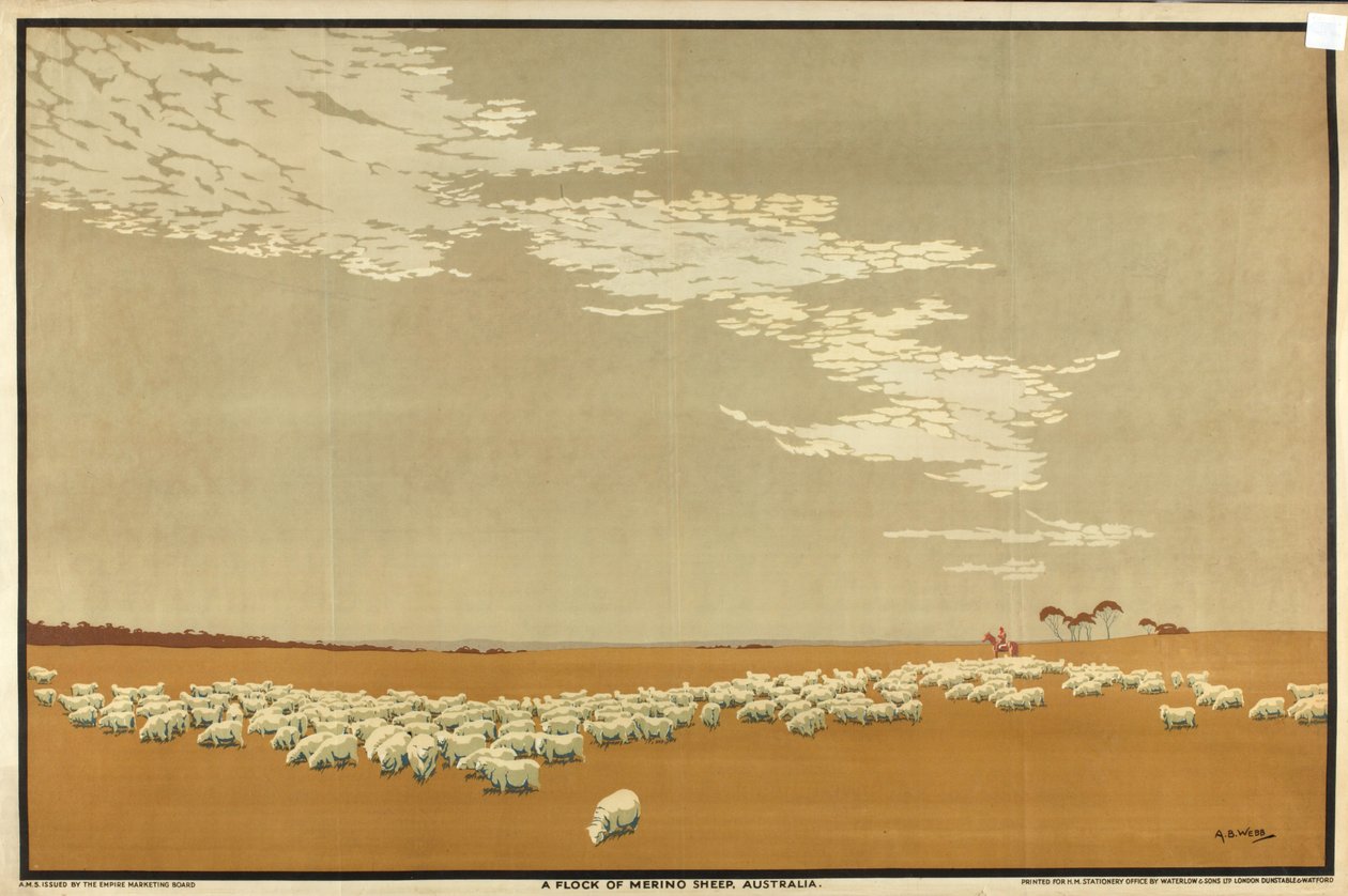 A Flock of Merino Sheep - Australia, fra serien 'Australia's Wealth of Wheat and Wool' (farge litho) av Archibald Bertram Webb