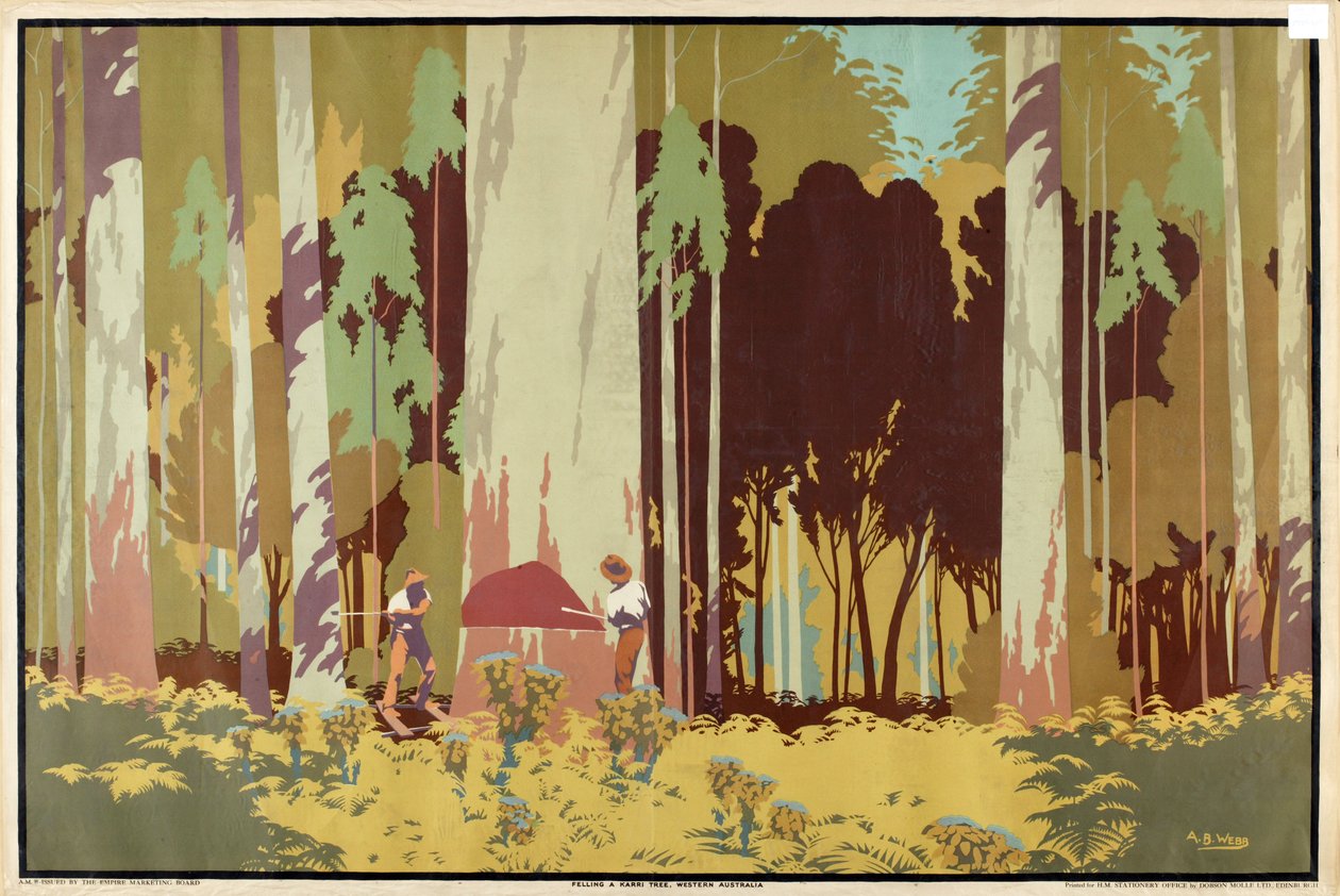 Felling a Karri Tree, Western Australia, fra serien 'Australia's Wealth of Wheat and Wool' av Archibald Bertram Webb