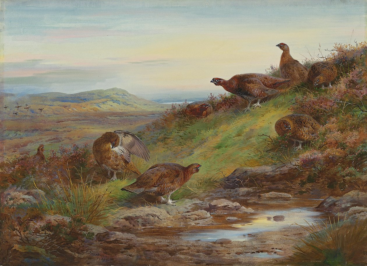 En bukt med rødrype ved en kilde av Archibald Thorburn