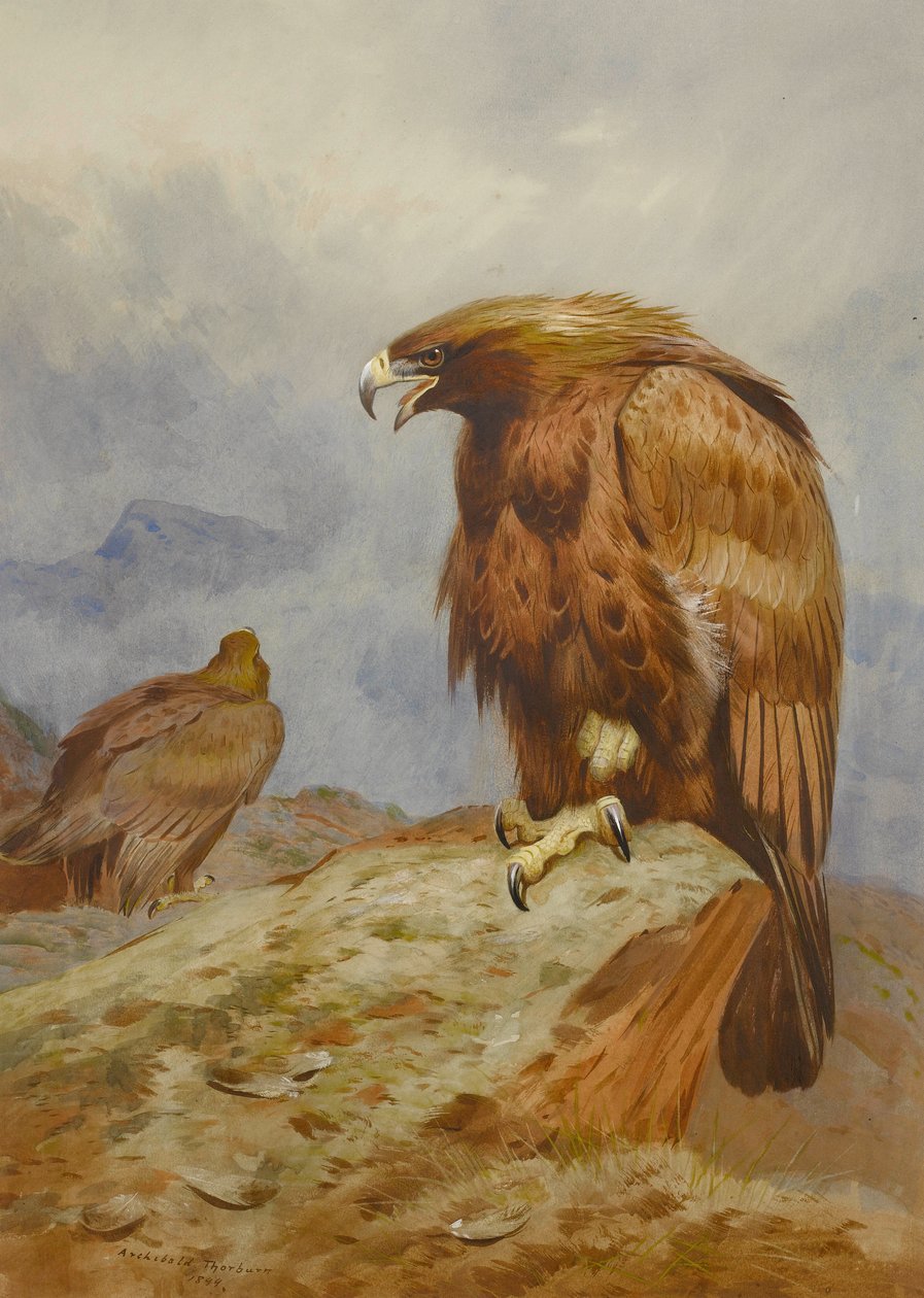  av Archibald Thorburn