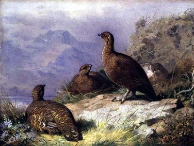 Ryper ved bredden av en innsjø av Archibald Thorburn