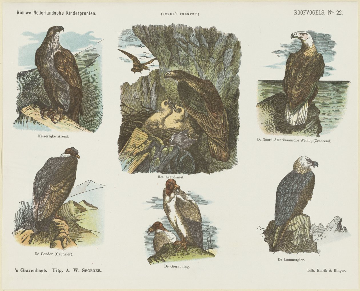 Birds of Prey (tittel på objekt) Nye nederlandske barnetrykk (serietittel på objekt) Funkes trykk (serietittel på objekt) av Arie Willem Segboer