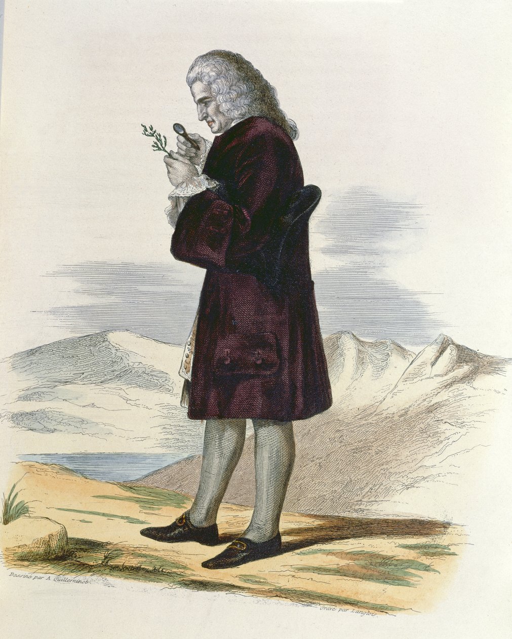 Bernard de Jussieu (1699-1777) ca. 1820 av Armand Guilleminot