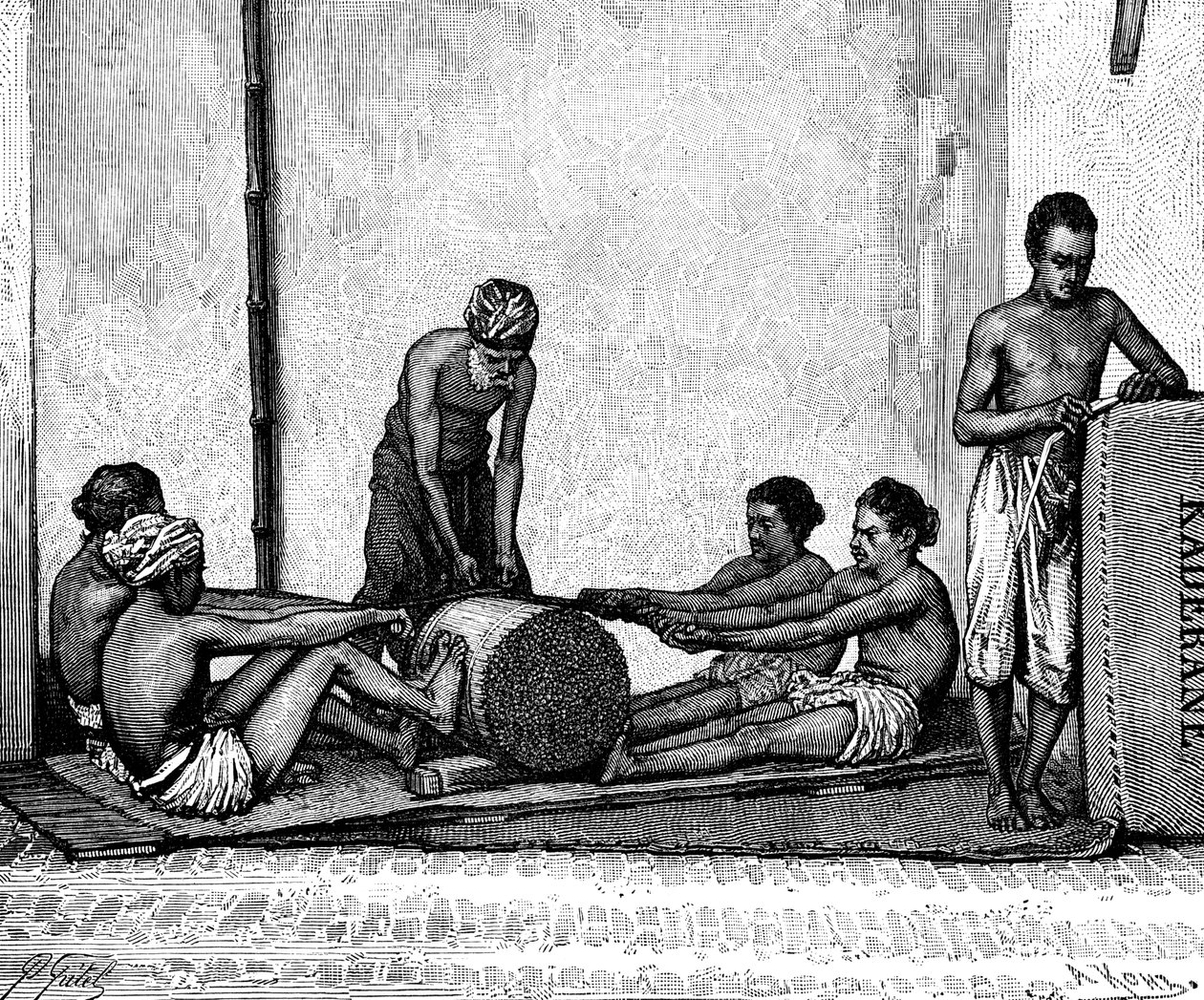 Kanelpakning, India, 1895. av Armand Kohl