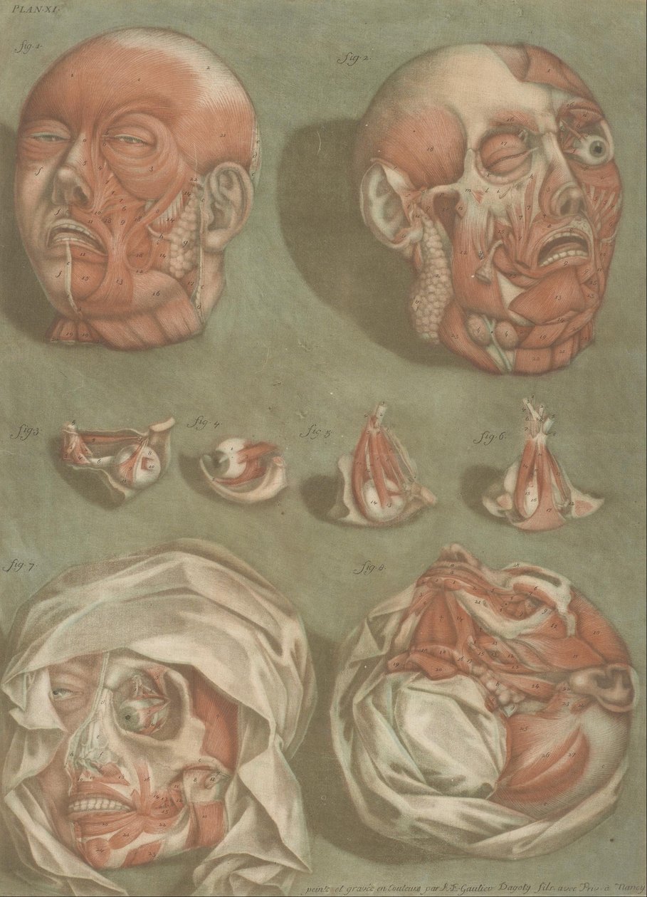 Plate 11, studier av hoder og øyne av Arnauld Eloi Gautier DAgoty