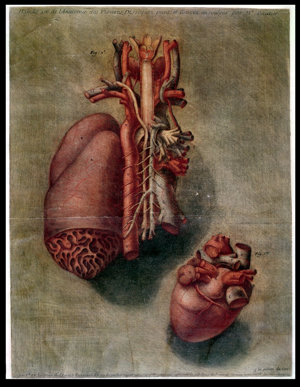 The Heart, plate fra 