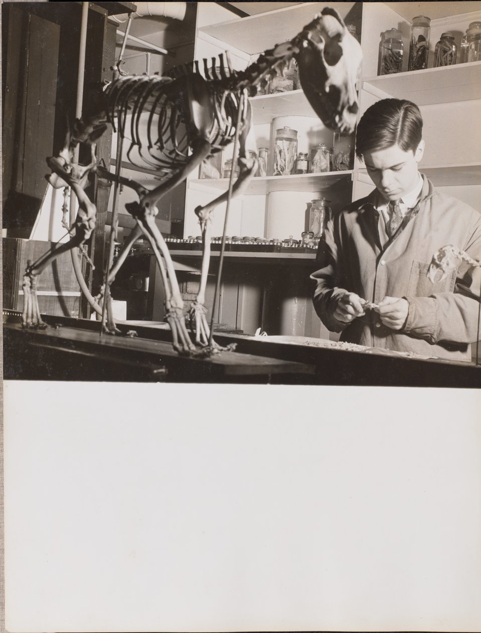  av Arnold Eagle