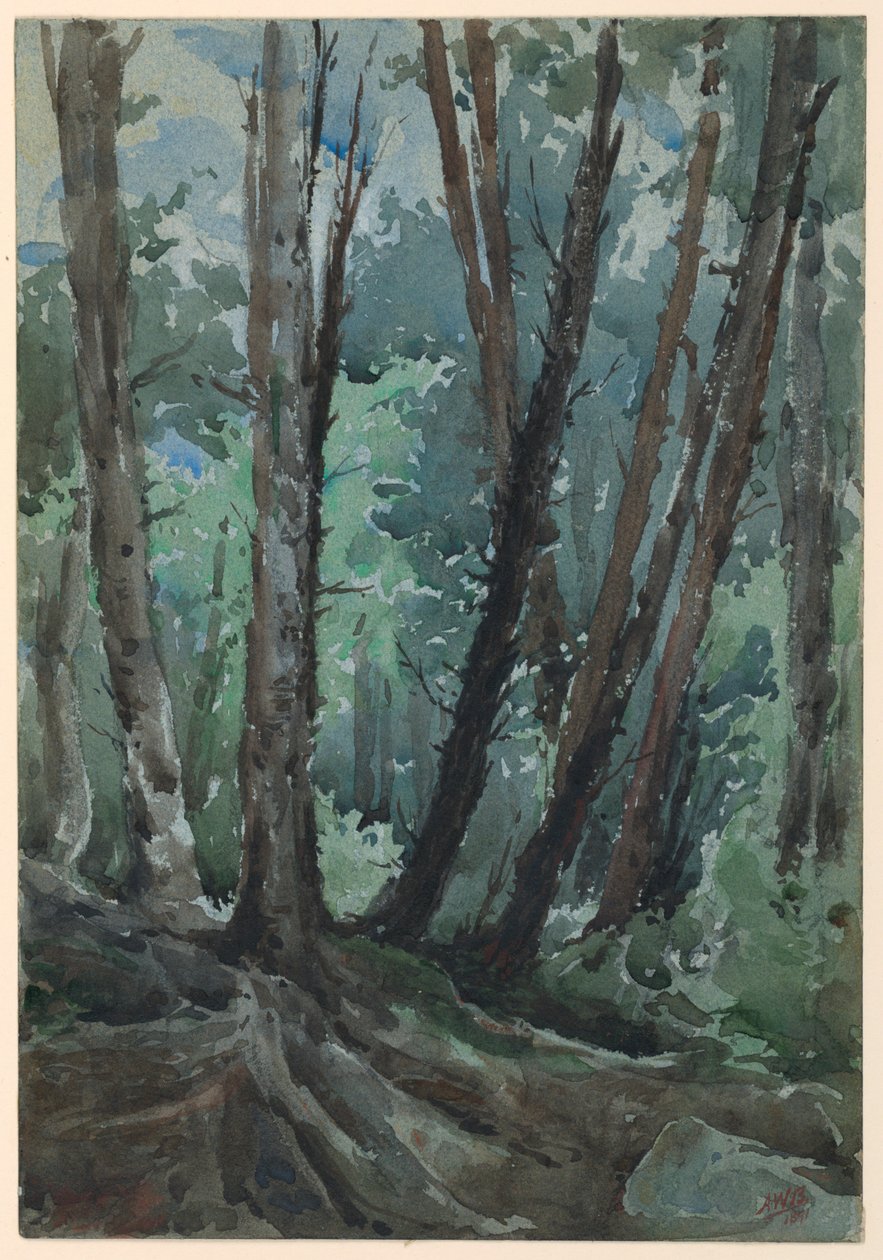 skog av Arnold William Brunner