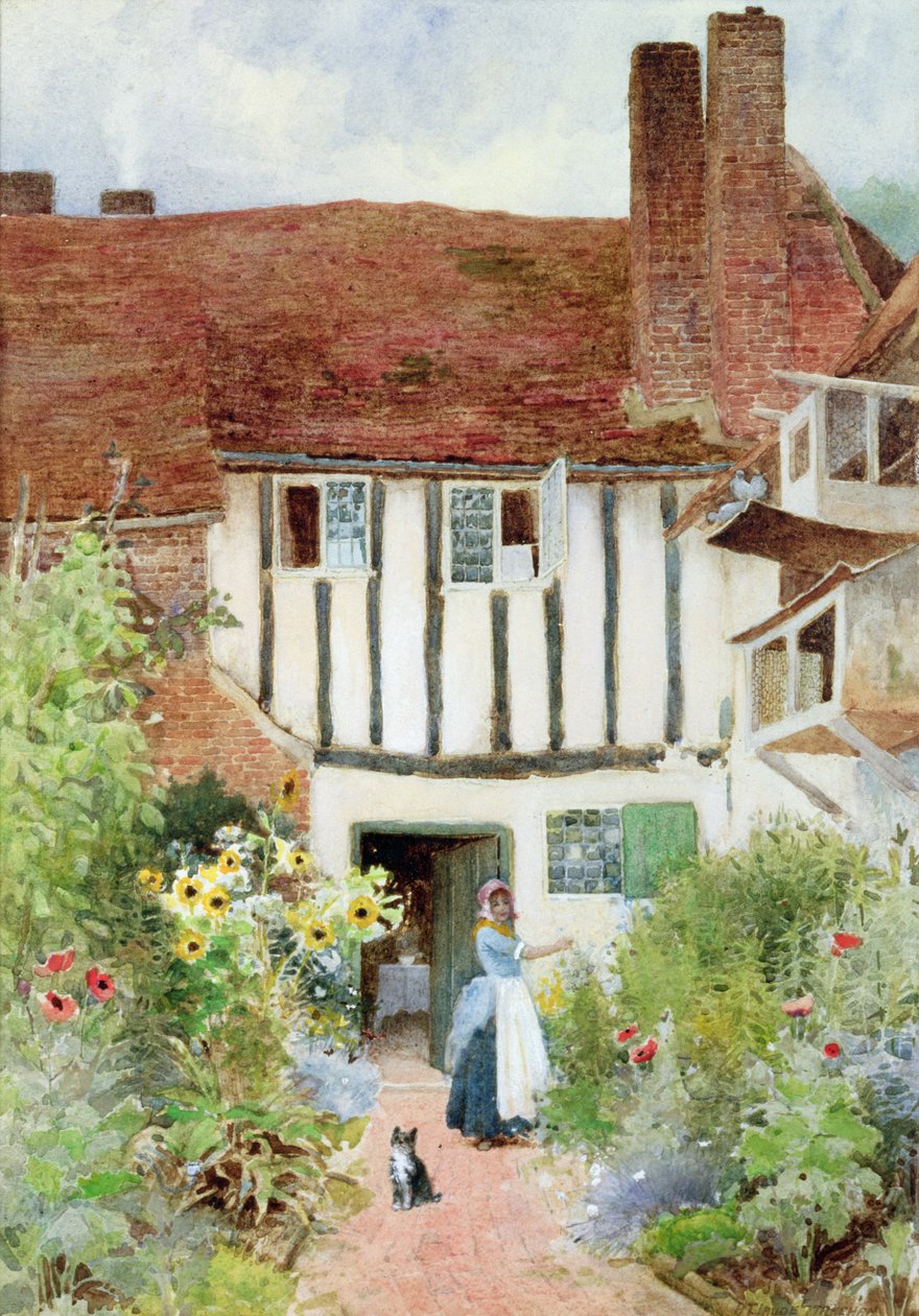 Sommerfugler av Arthur Claude Strachan