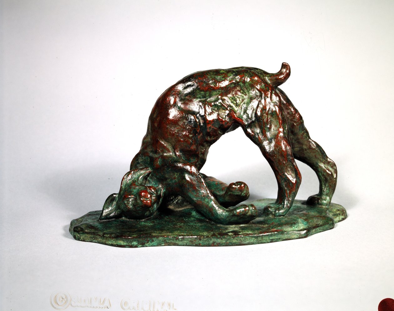 Skunked Lynx, 1909 (bronse) av Arthur Putnam