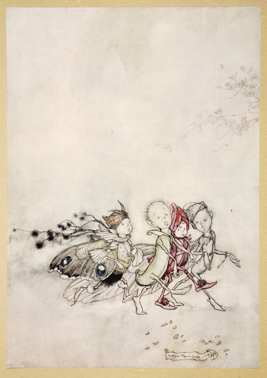 Enter Peasebottom, Cobweb, Moth, and Mustardseed, illustrasjon fra 'Midsummer Nights Dream' av William Shakespeare, 1908 av Arthur Rackham