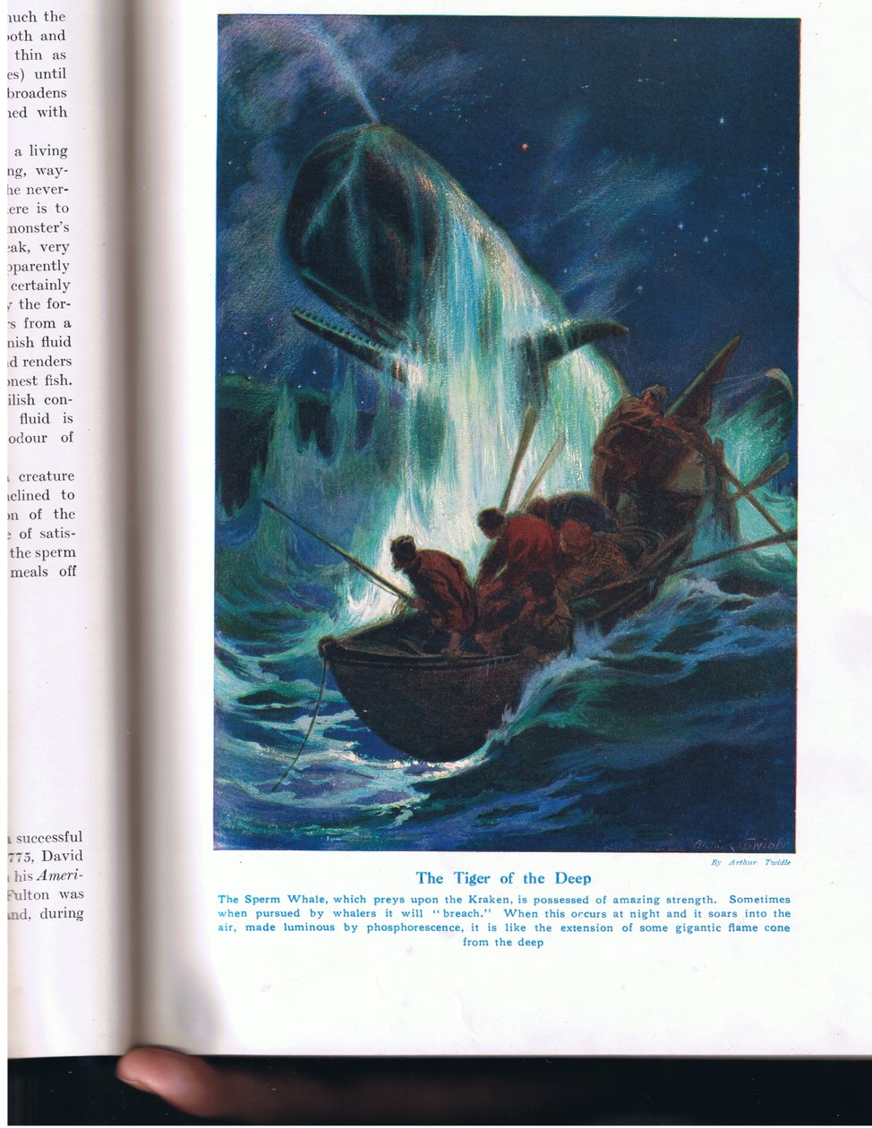 The Tiger of the Deep, illustrasjon fra 