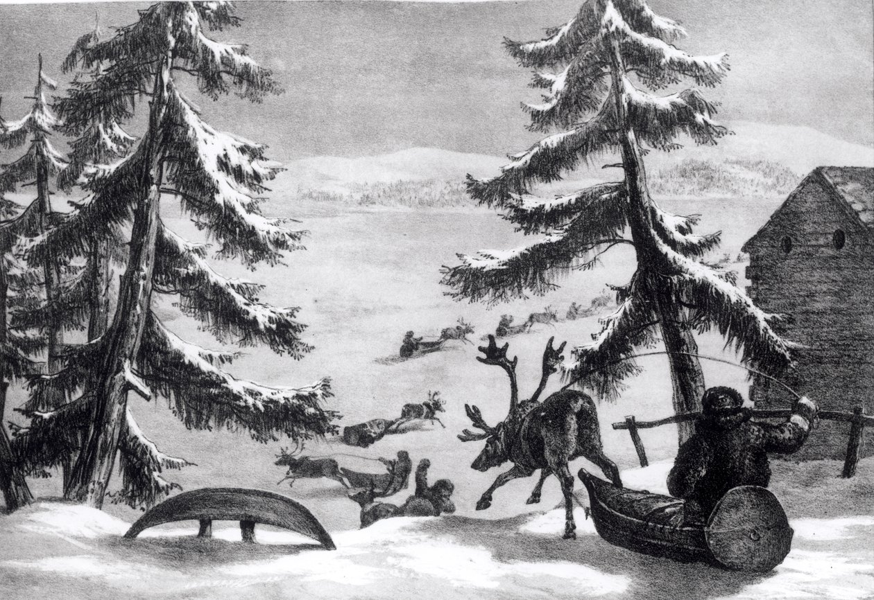 Reinsdyrtrukne sleder, fra 