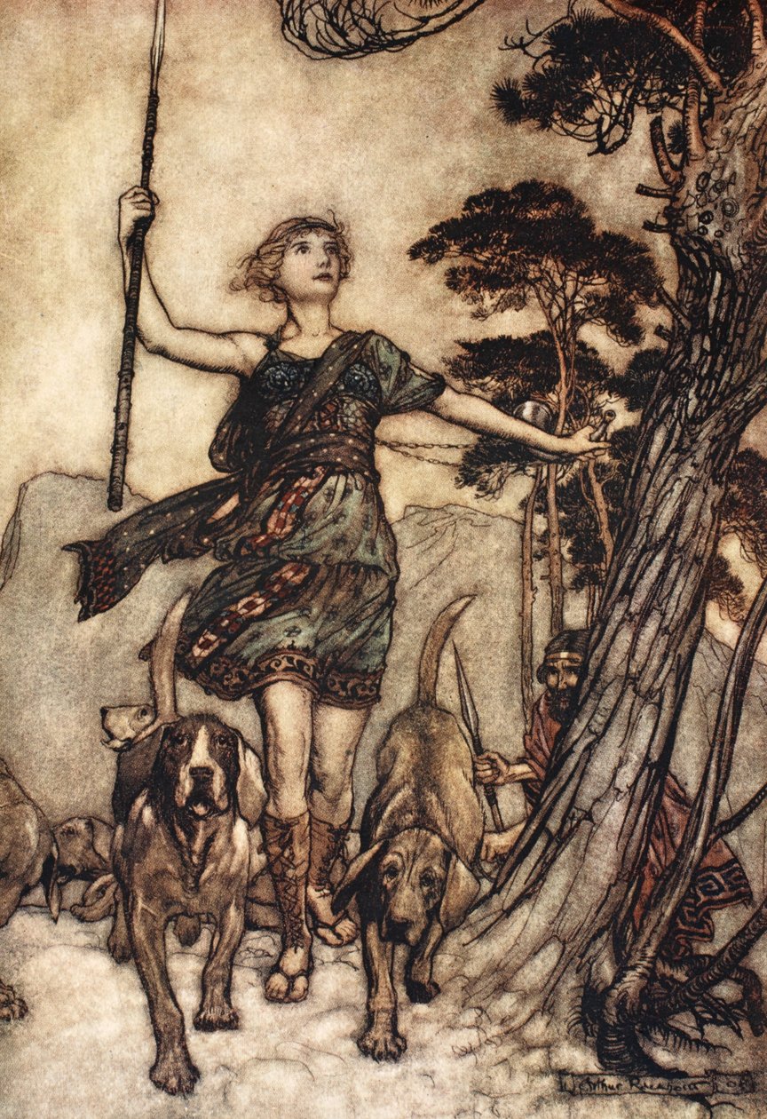 Vi vil, rettferdige dronning, opp til fjellets topp, og markere den musikalske forvirringen av hunder og ekko i forbindelse, illustrasjon fra 'Midsummer Nights Dream' av William Shakespeare av Arthur (after) Rackham