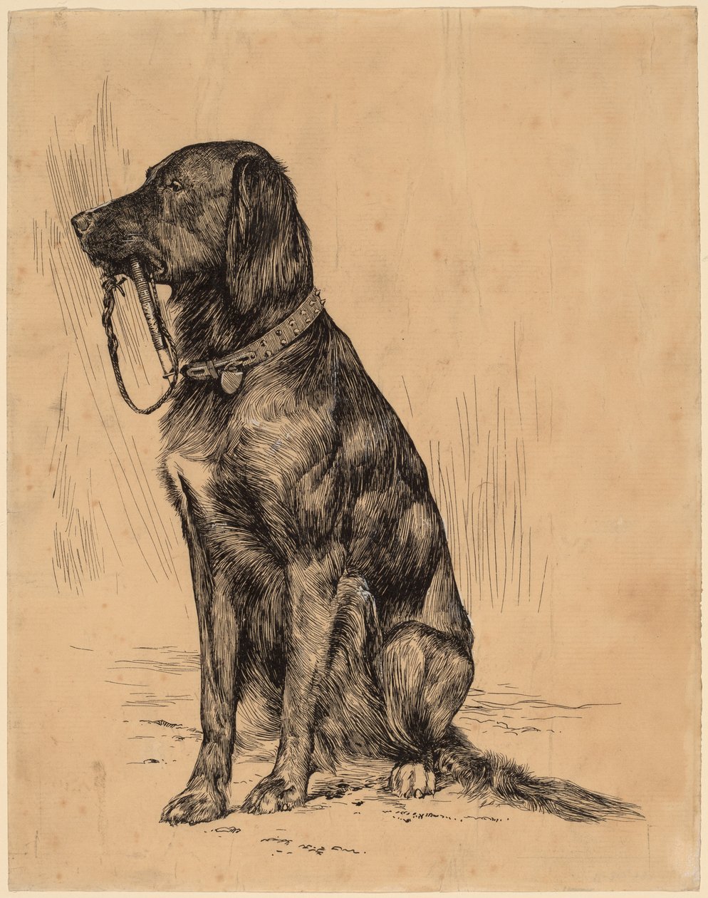 Aldrichs hund av Arthur B. Davies