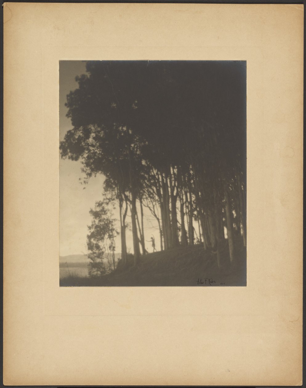  av Arthur F. Kales