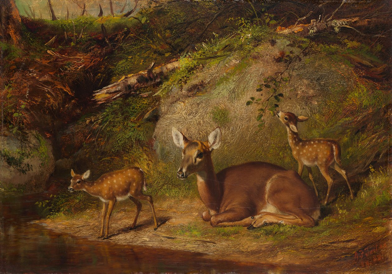 Doe and Two Fawns, 1882. av Arthur Fitzwilliam Tait