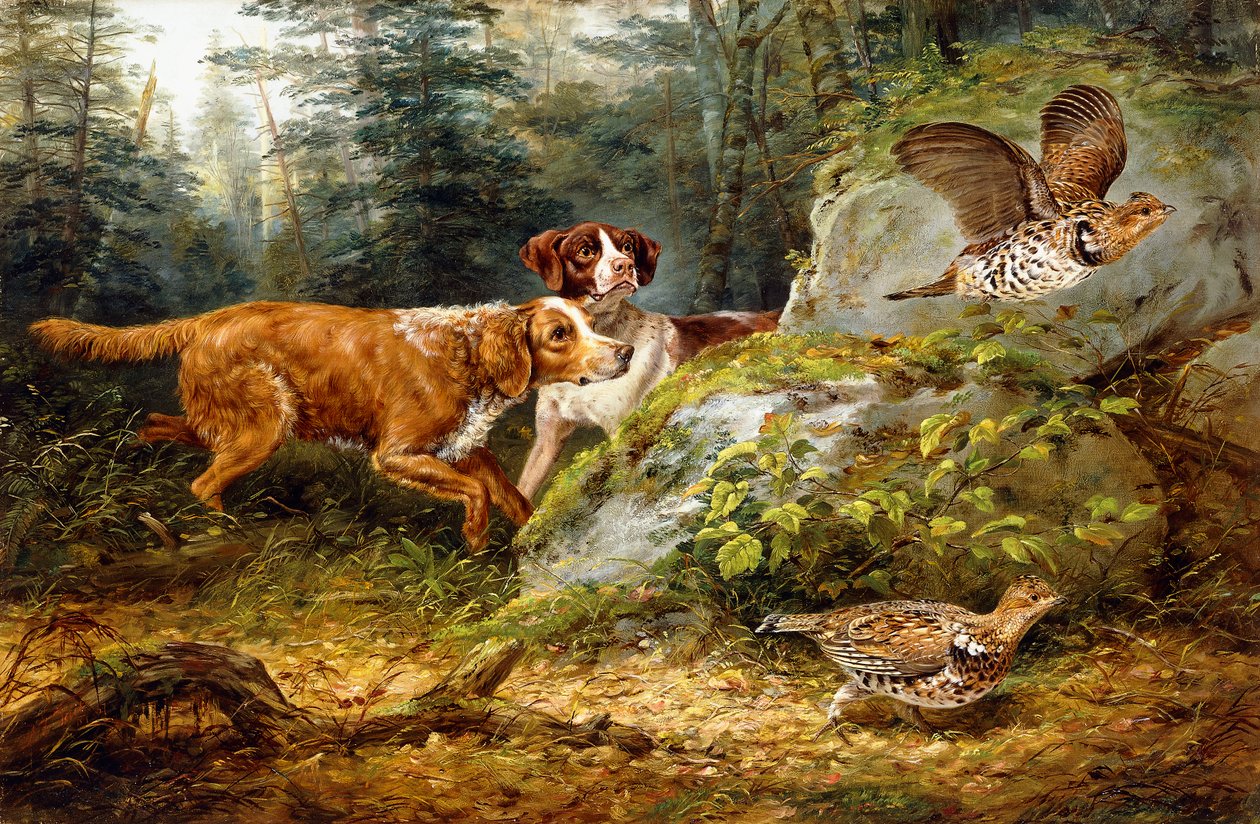 Flushed: Ruffed Grouse Shooting, 1857 av Arthur Fitzwilliam Tait