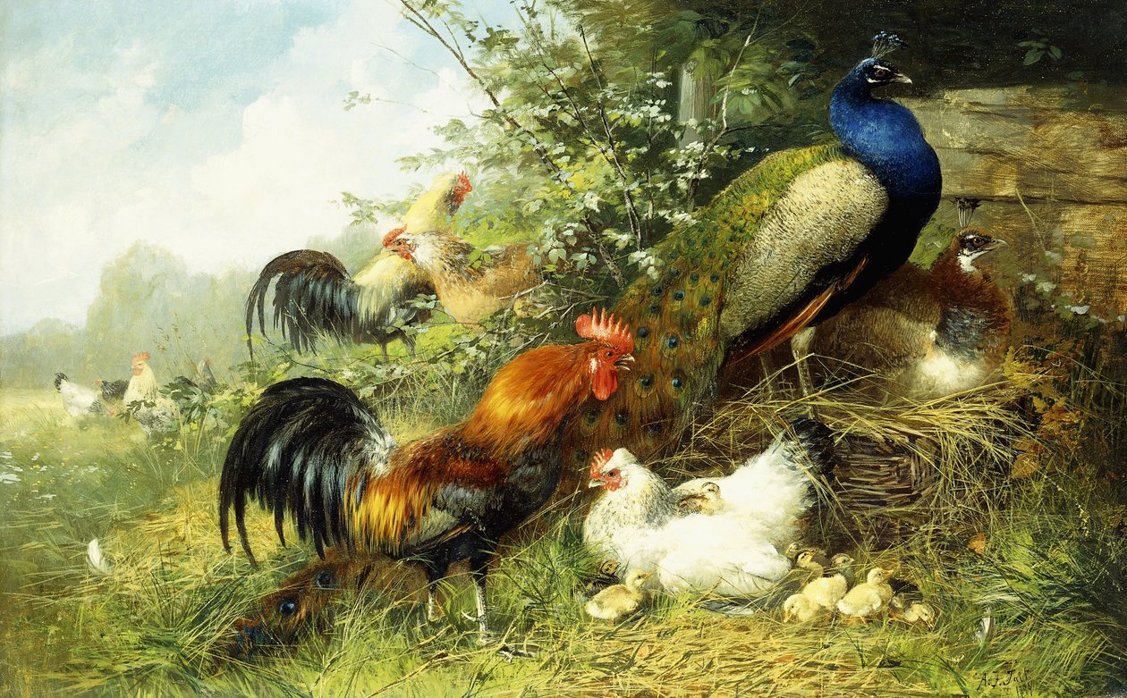 Fowl and Peacocks, 1899 av Arthur Fitzwilliam Tait