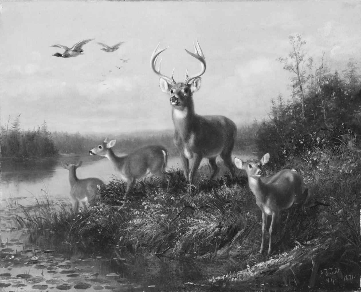 On the Qui Vive, Buck and Three Does, 1871. av Arthur Fitzwilliam Tait