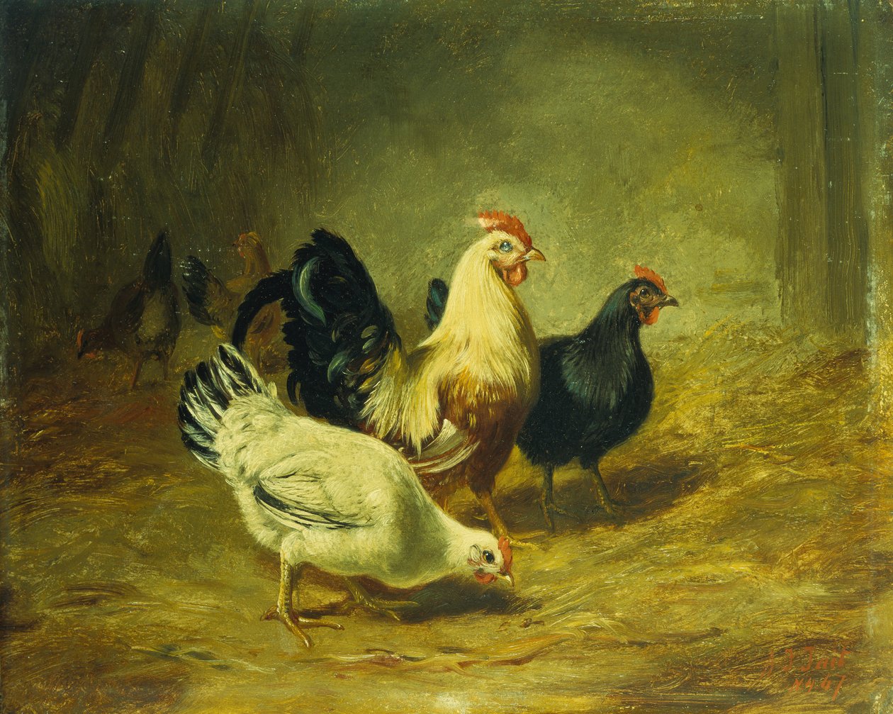 Fôring av fjærkre av Arthur Fitzwilliam Tait