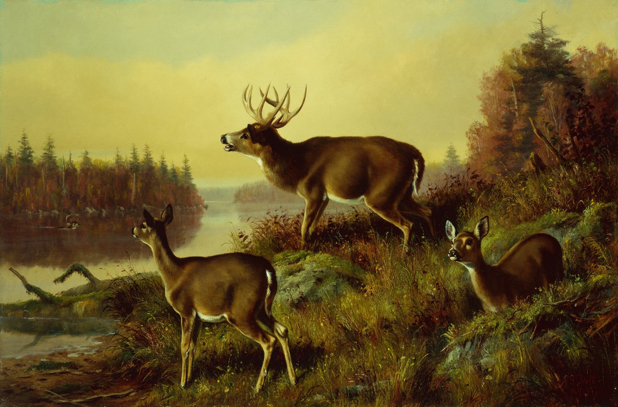Utfordringen av Arthur Fitzwilliam Tait