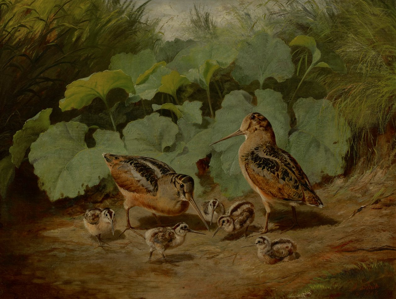 Woodcock og Young av Arthur Fitzwilliam Tait