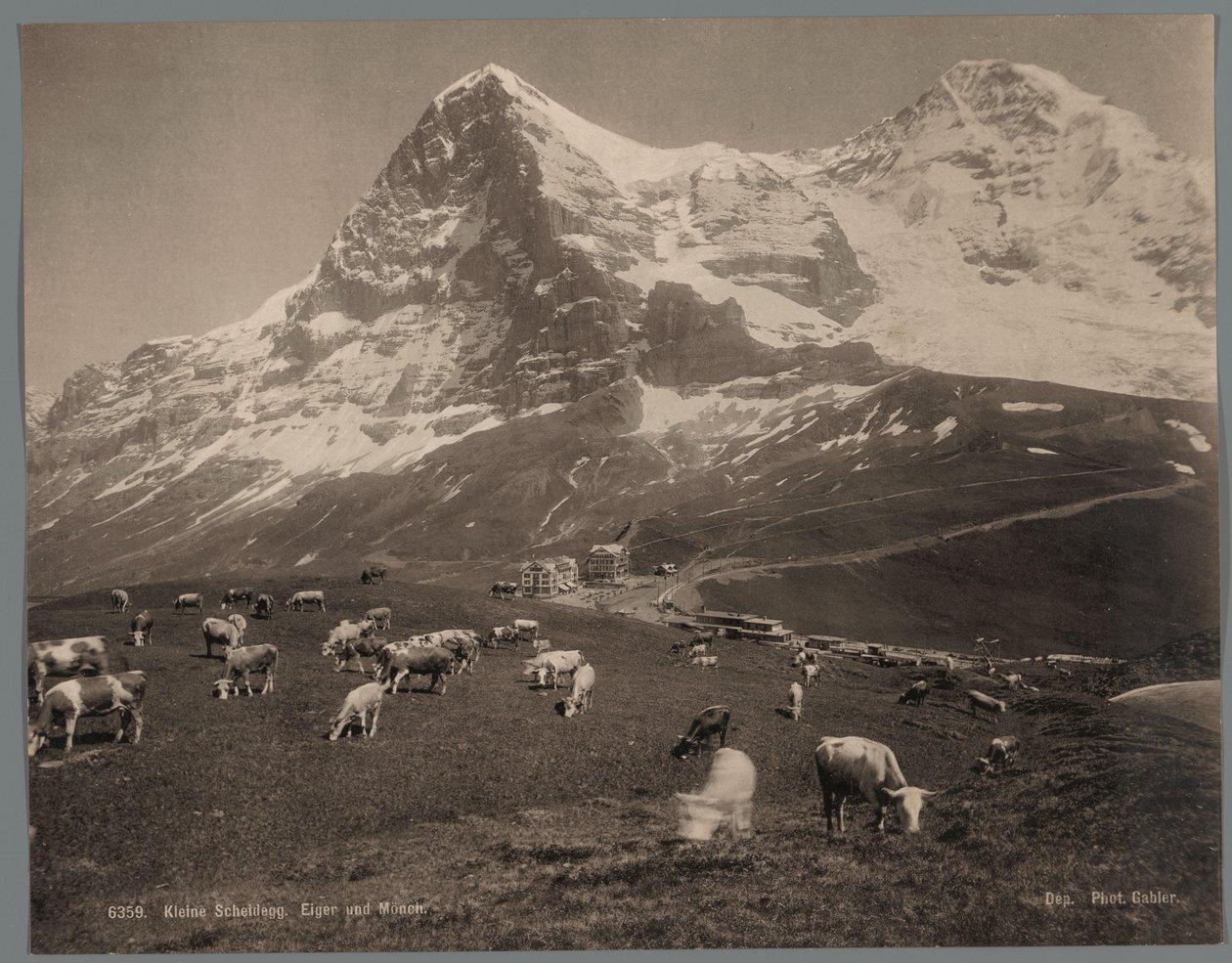 Kyr på Kleine Scheidegg i Berner Oberland, i bakgrunnen Eiger og Mönch Kleine Scheidegg, Eiger und Moench (tittel på objekt) av Arthur Gabler