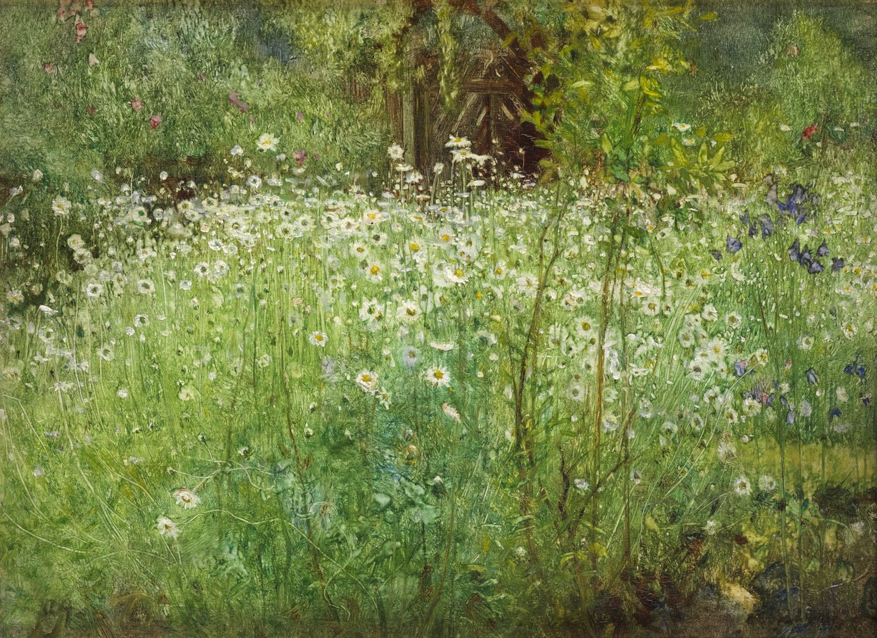 Oxeye Daisies and Irises, 1920 av Arthur Hacker