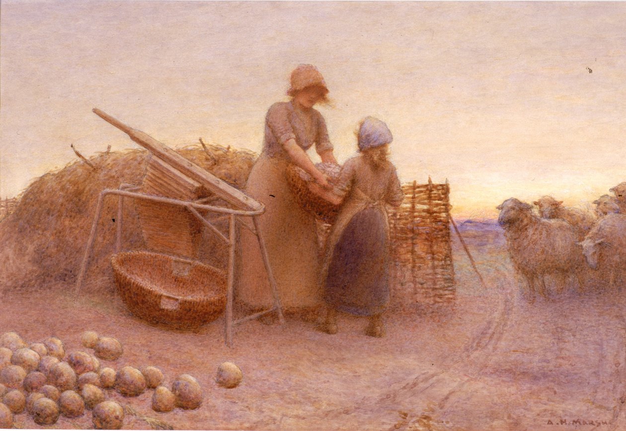 Kålroten (akvarell på papir (limt på panel)) av Arthur Hardwick Marsh