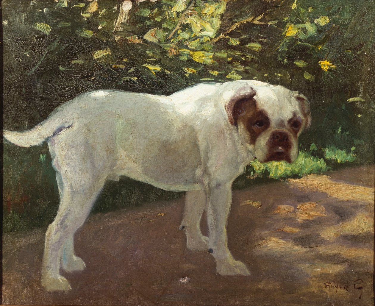 En bulldog på en hagesti (olje på lerret) av Arthur Heyer