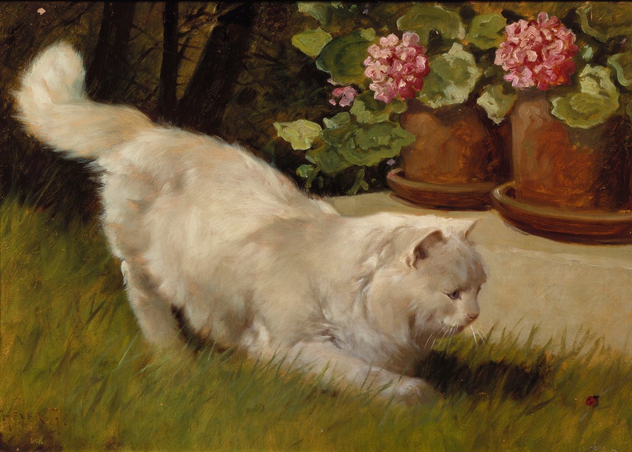 En hvit persisk katt med en marihøne (olje om bord) av Arthur Heyer