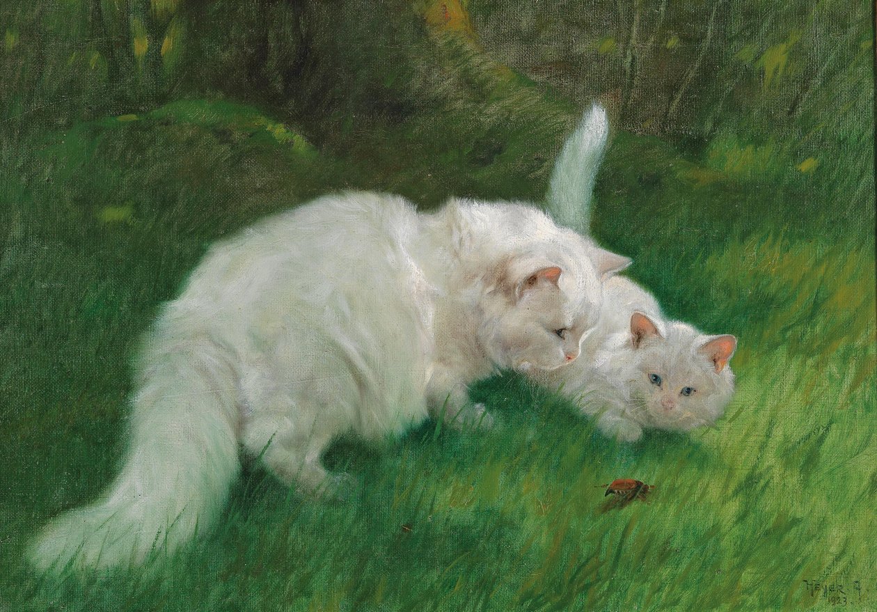  av Arthur Heyer