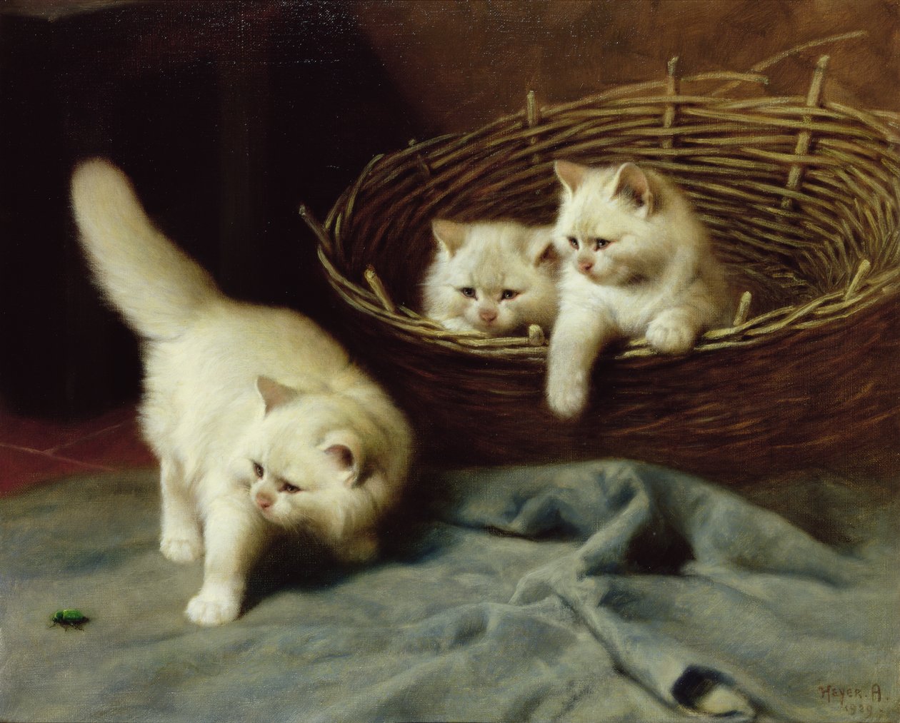 Hvite angora-kattunger med en bille, 1929 av Arthur Heyer