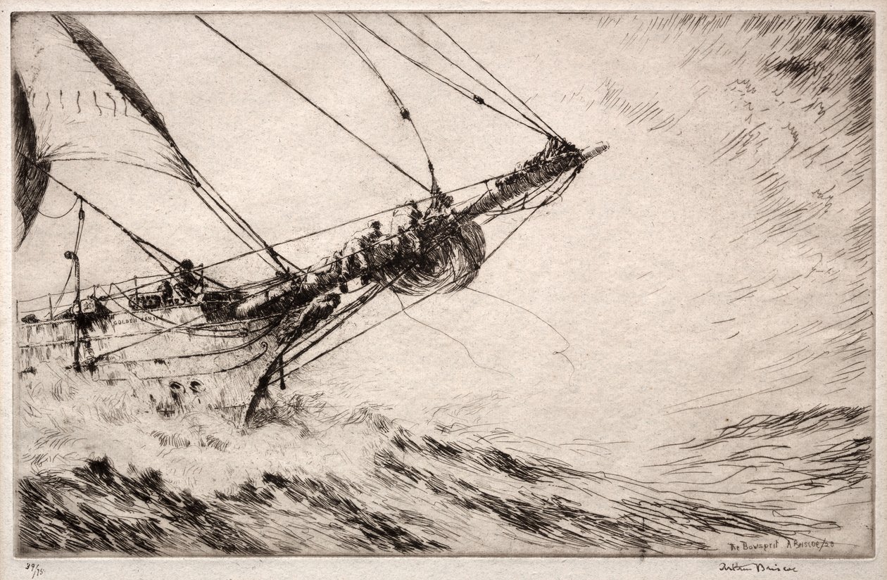 Baugsprydet av Arthur John Trevor Briscoe