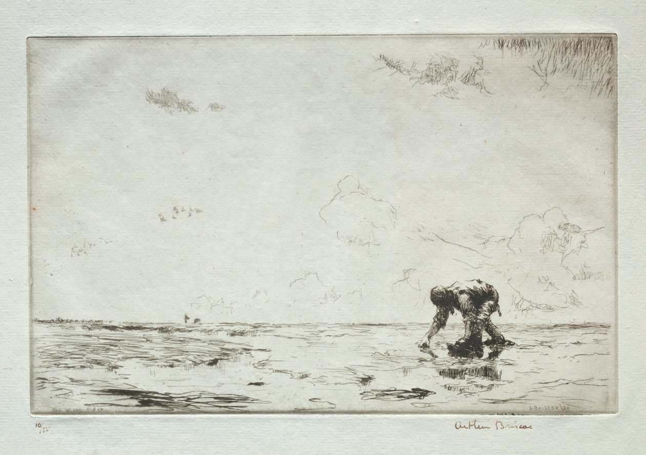 Winkle-velgeren av Arthur John Trevor Briscoe